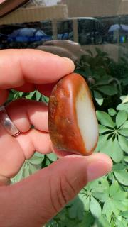 新疆和田玉籽料原石,49.2克,真皮真色,枣红皮