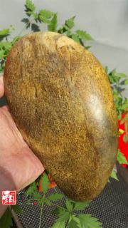 甄玉坊:再说和田玉籽料中的石包玉
